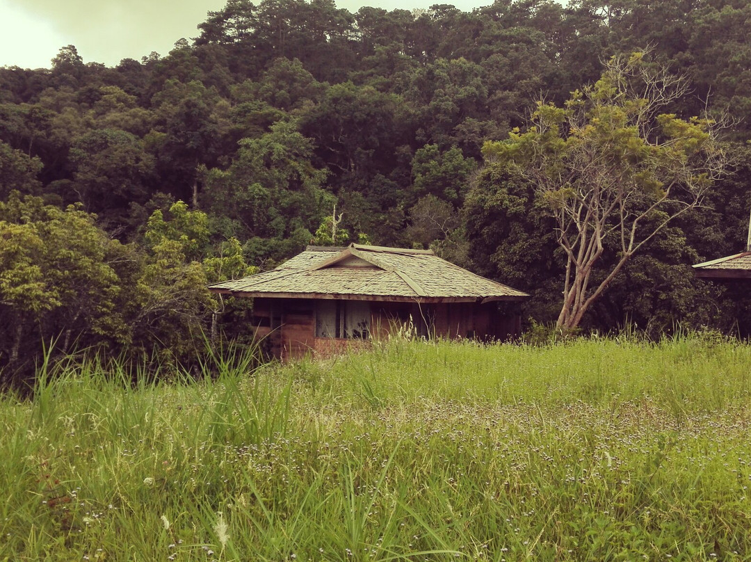 Doi Khun Tan National Park-夜塔必去景点
