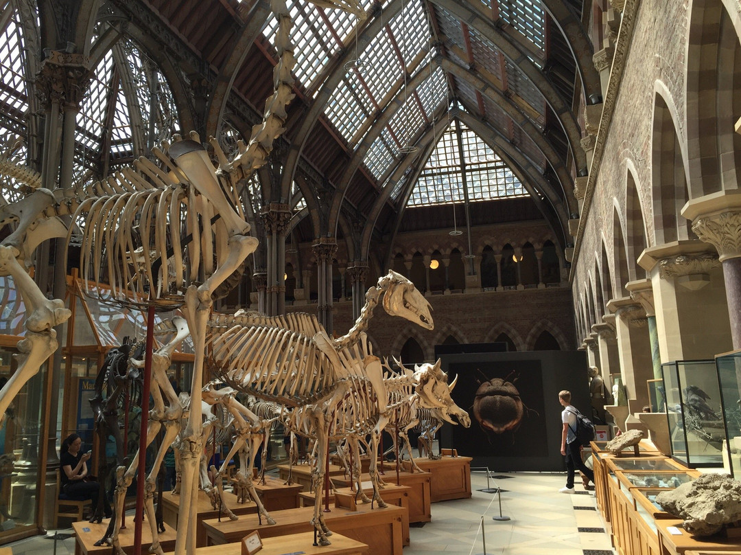 The Oxford Tourist-牛津必去景点