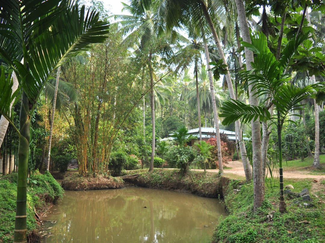 苏巴兰卡度假村主图