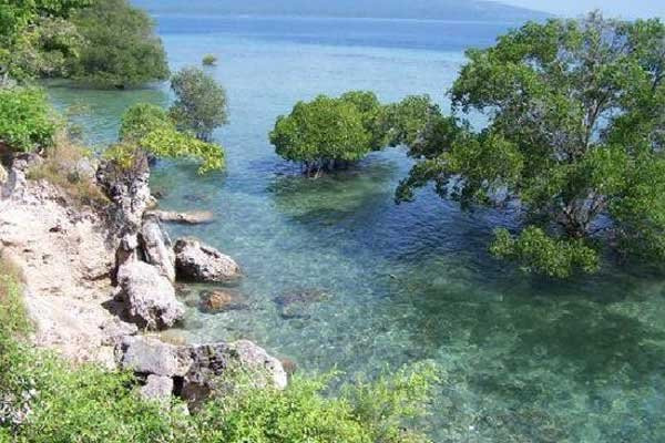 Bali Great Travel - Private Day Tours景点图片