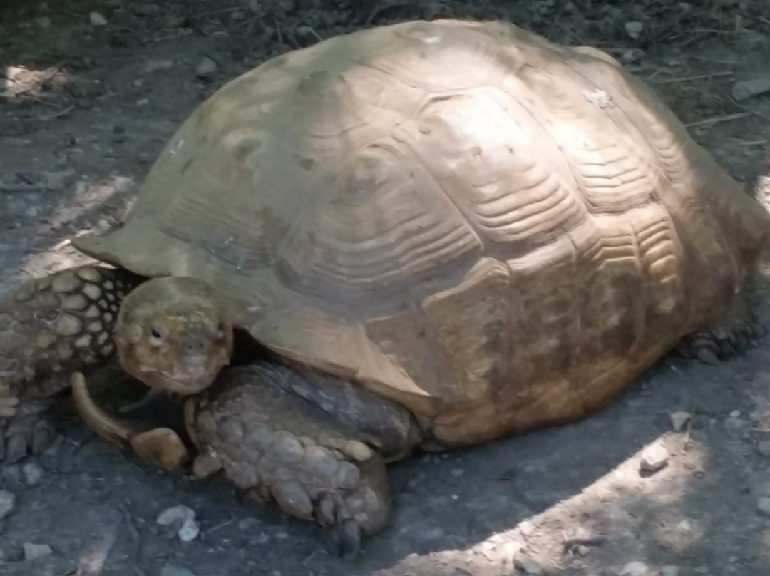 Riverside Wildlife Center-斯坦顿必去景点