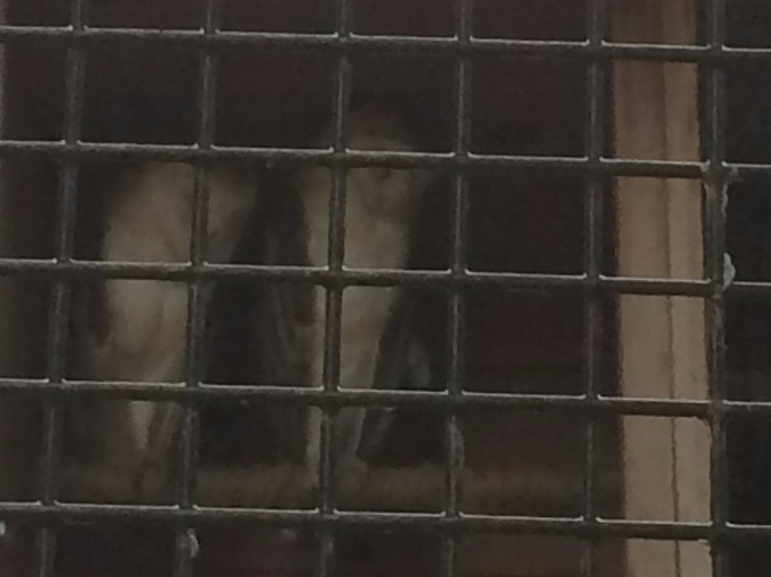 Cosley Zoo-Wheaton必去景点