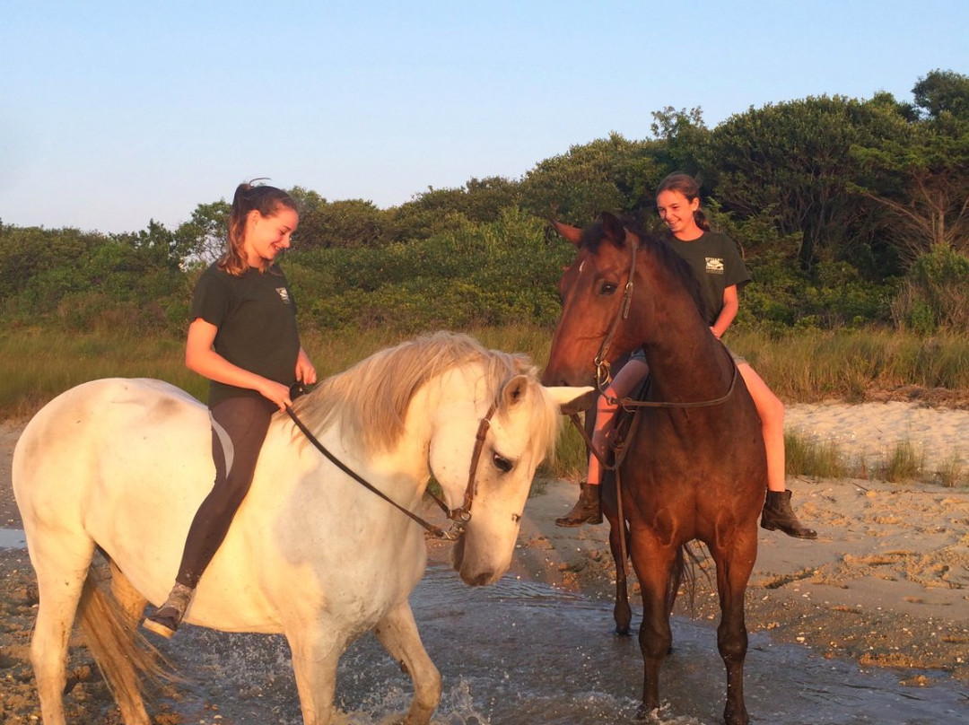 Rita's Stable-蒙托克必去景点