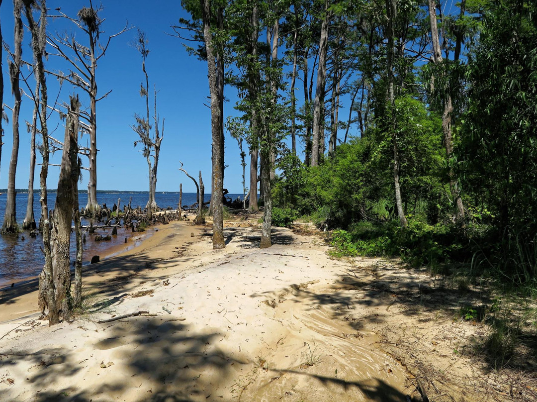 Pine Cliffs Recreation Area - Neusiok Trail景点图片