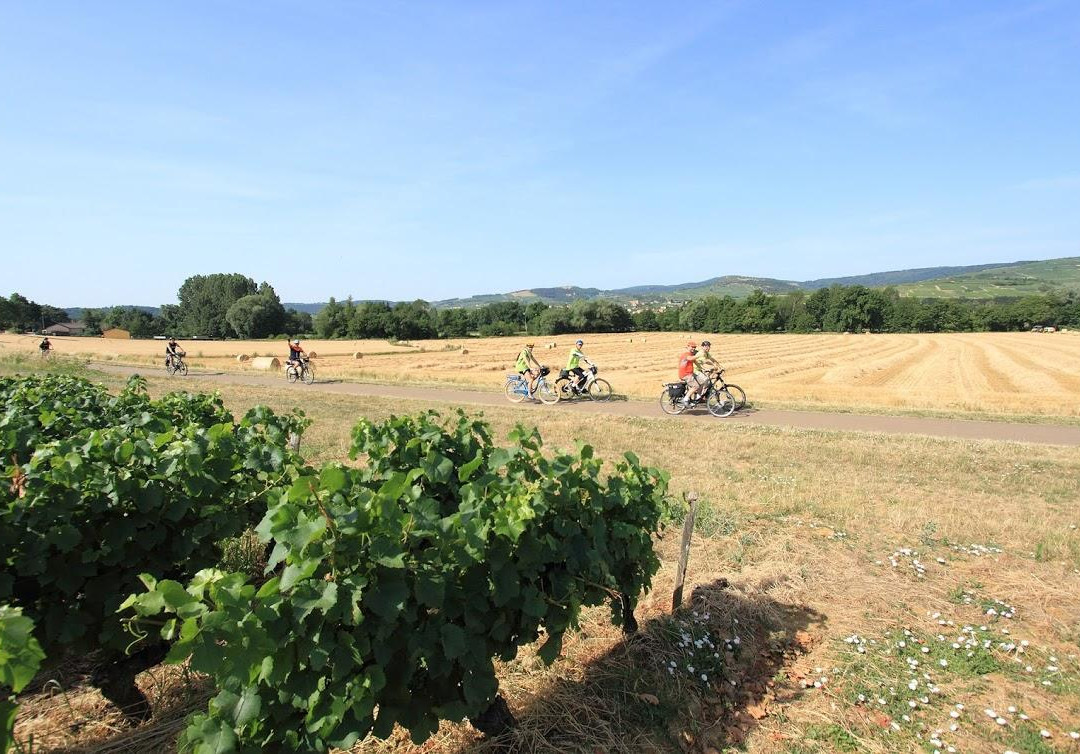 La Transmaconnaise-梅肯必去景点