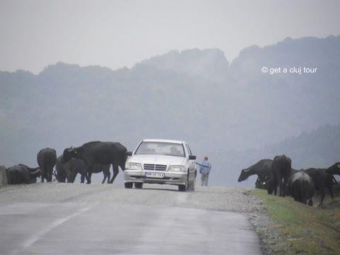 Get a Cluj Tour-克卢日-纳波卡必去景点