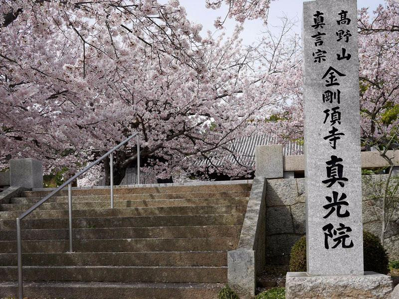 Kongocho-ji Temple Shinko-in-濑户内市必去景点