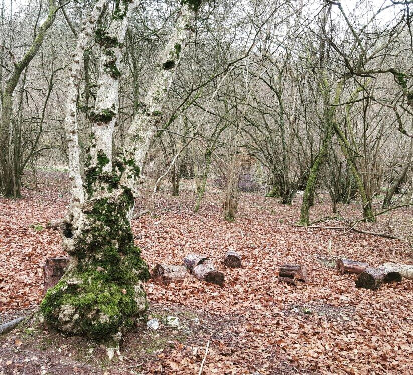 Warburg Nature Reserve景点图片