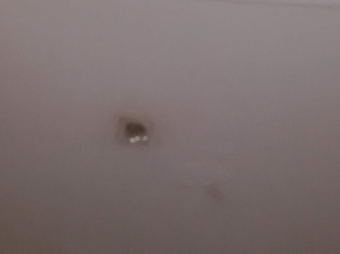 Aligeo Guesthouse主图