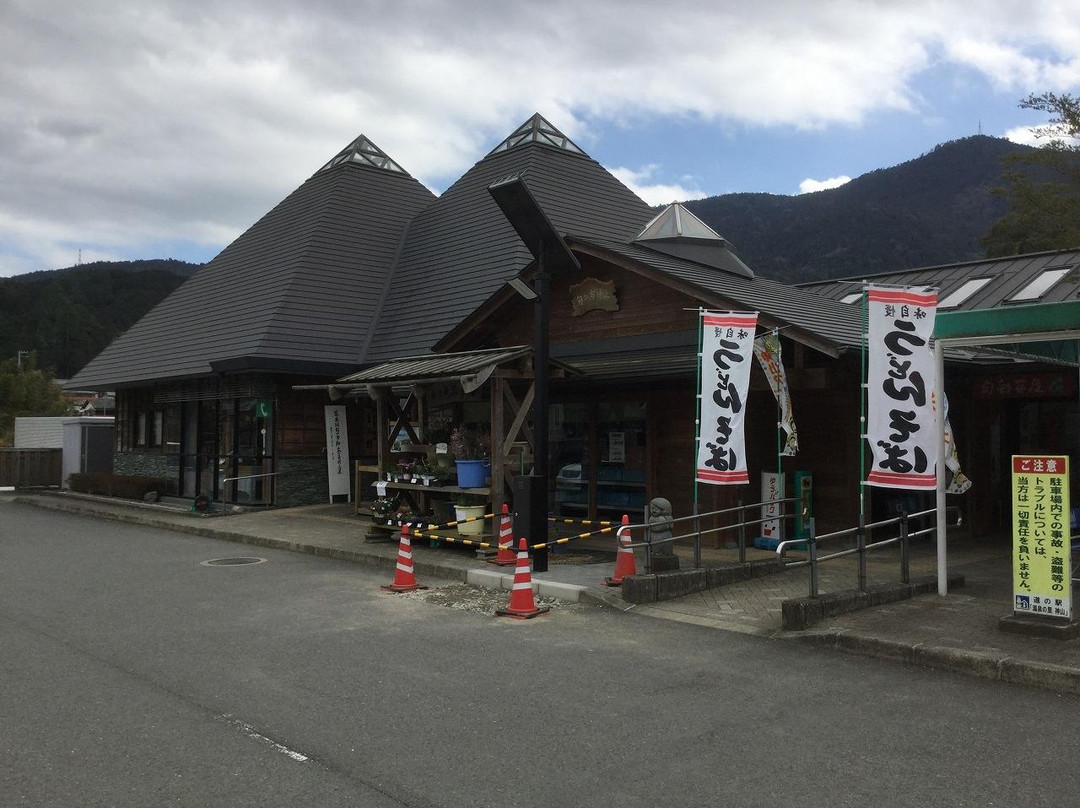 Michi no Eki Onsen no Sato Kamiyama-神山町必去景点