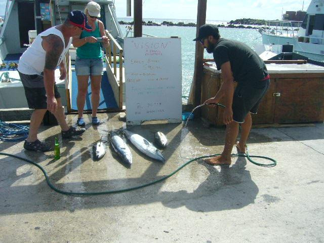 Vision Fishing Charters-阿瓦鲁阿必去景点