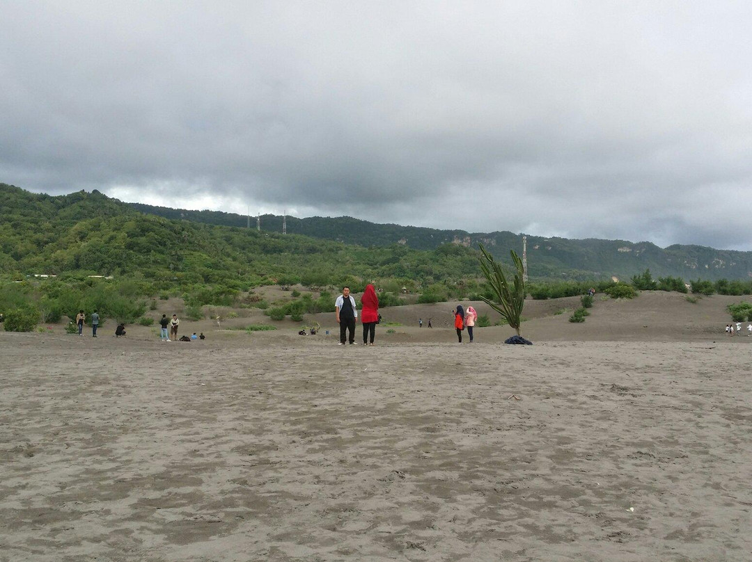 Sandboarding Gumukpasir (Jogja Adventure Trip)景点图片