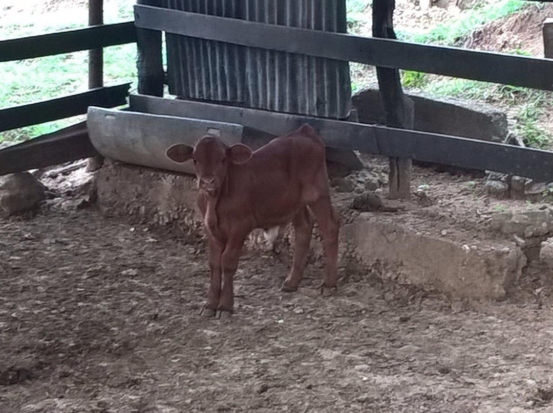 iglesia de la Santisima Trinidad-Puerto Salgar必去景点