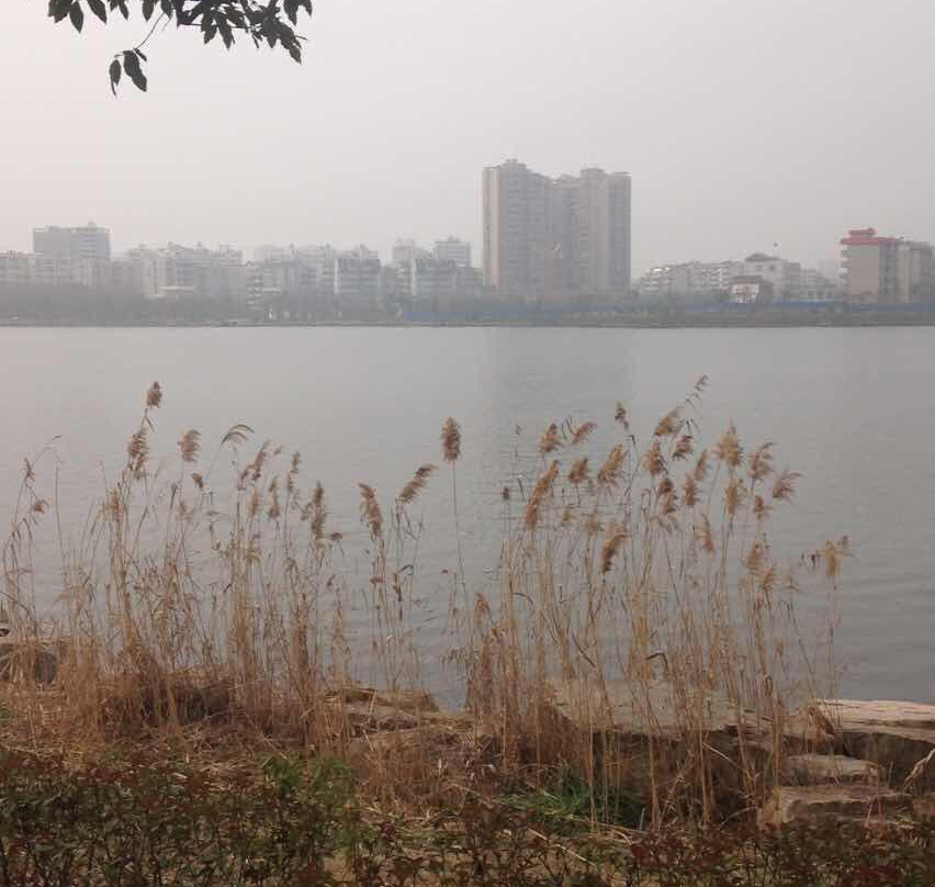 遗爱湖公园-黄冈市必去景点