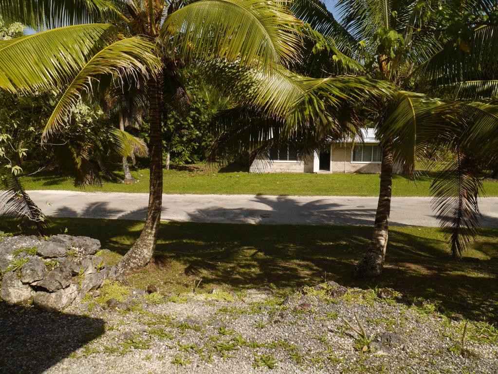 Tamakautoga旅游攻略图片