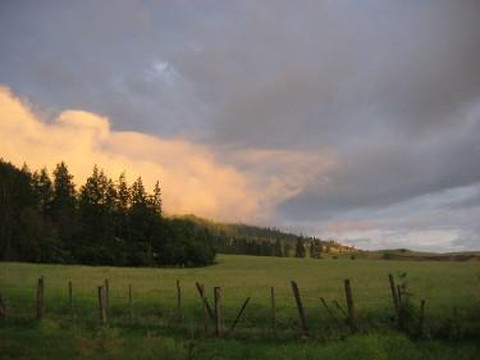 Bridlewood Riding Centre-Lake Country必去景点