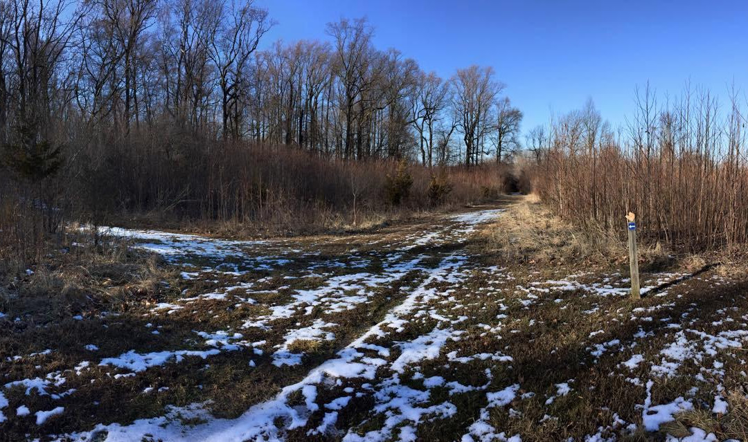 Franklin Park Natural Area-Franklin Park必去景点
