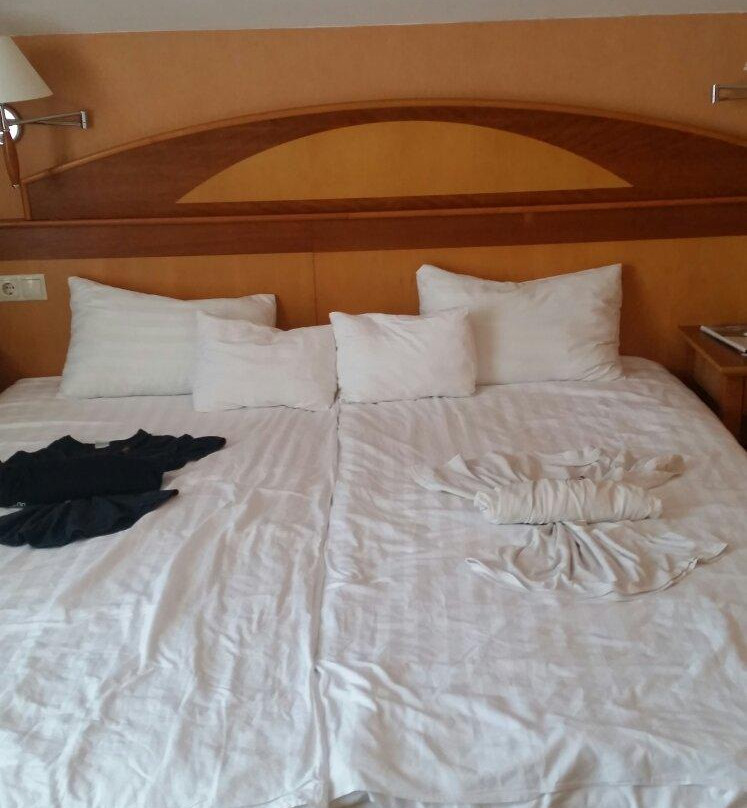 Vitalmed Hotel Sarvar主图