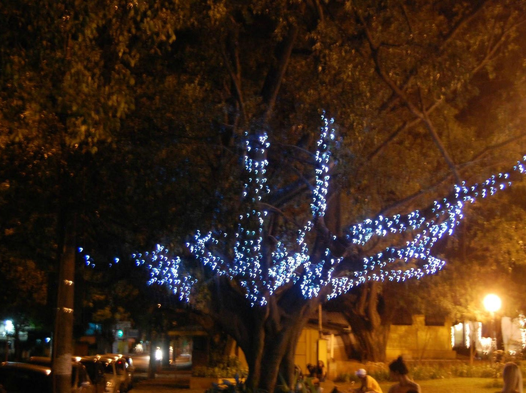 Praça Dr. Christiano Altenfelder Silva ( Praça da XV )-Sao Carlos必去景点