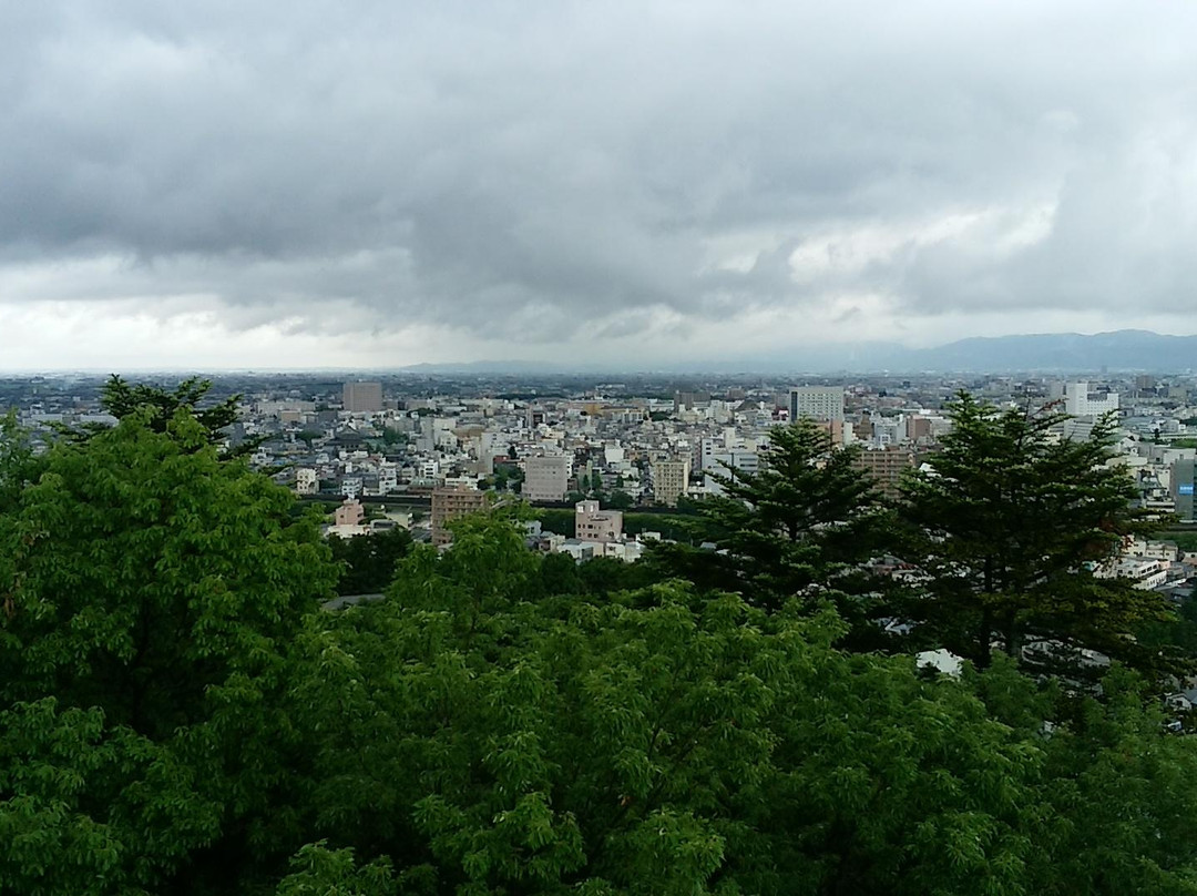 Fukui City Museum of Natural History景点图片