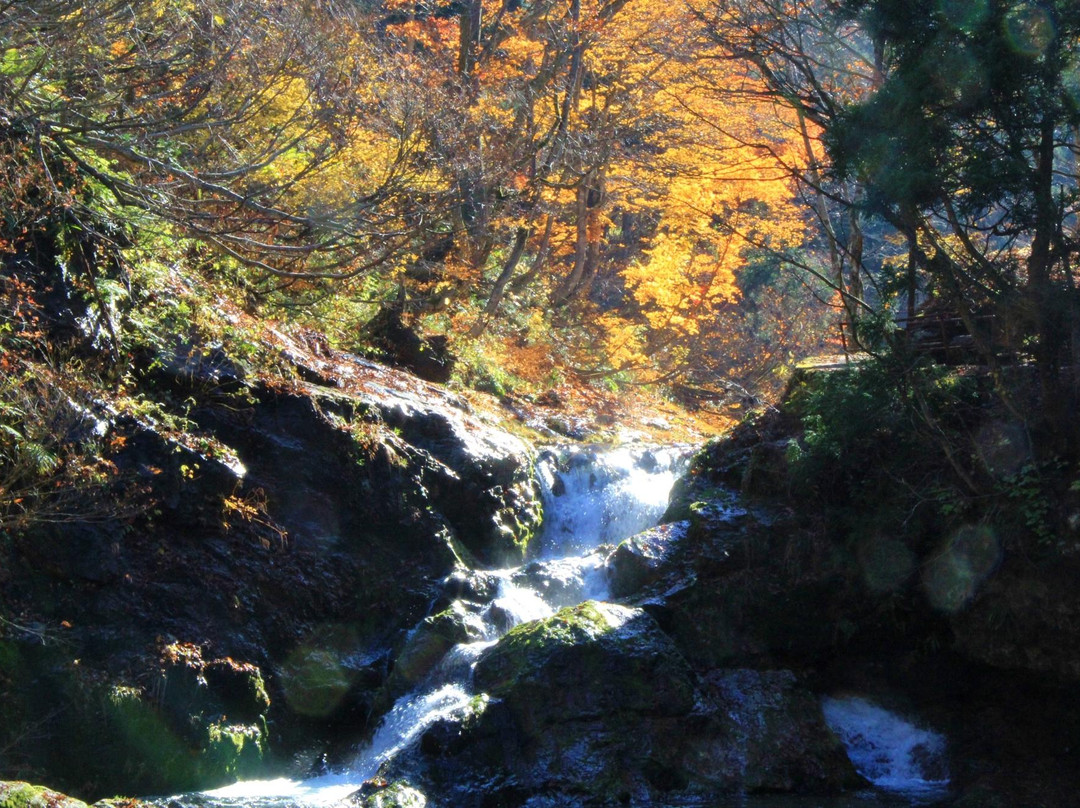 Senshinkyo Valley-尾花泽市必去景点
