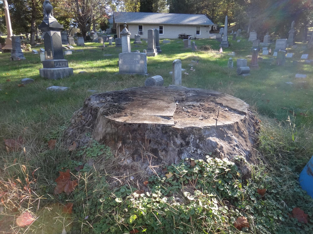 Oak Grove Cemetery景点图片