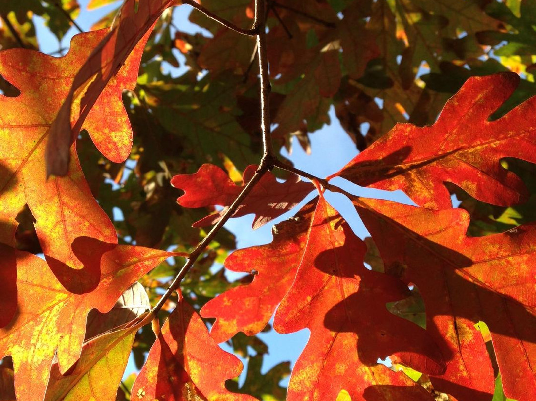 Sundance Gallery Gifts-Blairsville必去景点