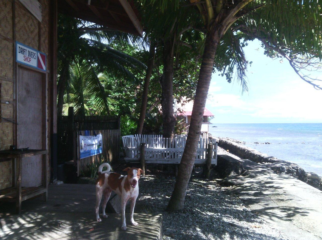 Drift Divers-雅格纳必去景点