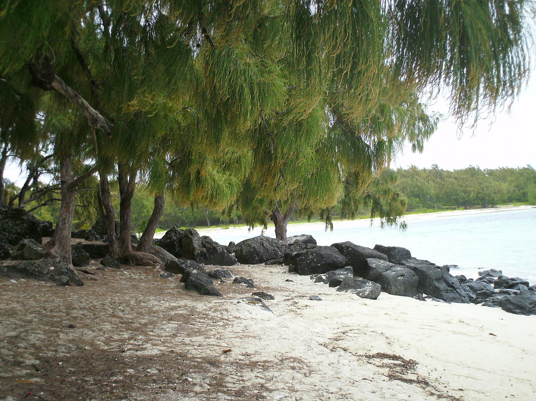 White Sand Tours-Curepipe必去景点