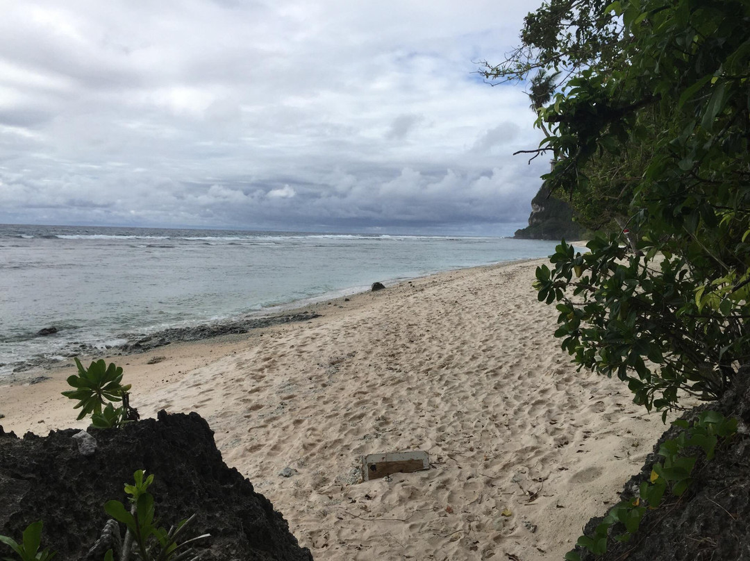 炮滩-塔穆宁必去景点