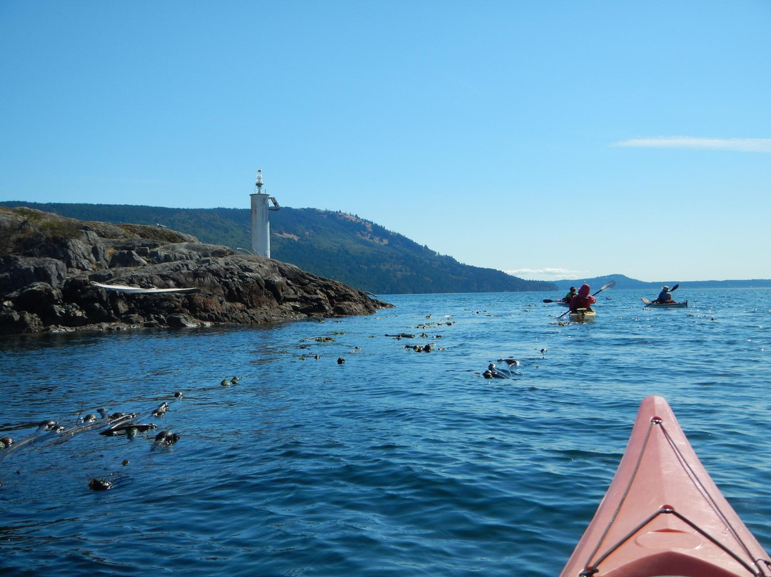 Wilderness Kayaking Co景点图片