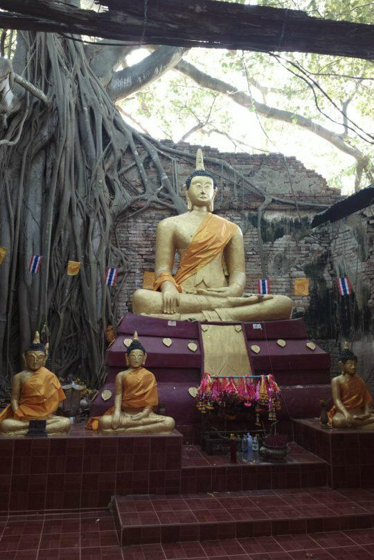 Wat Sai-因武里必去景点