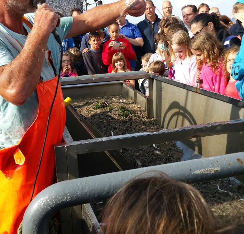 TX35 De Zeester - Boat Tour-Oudeschild必去景点
