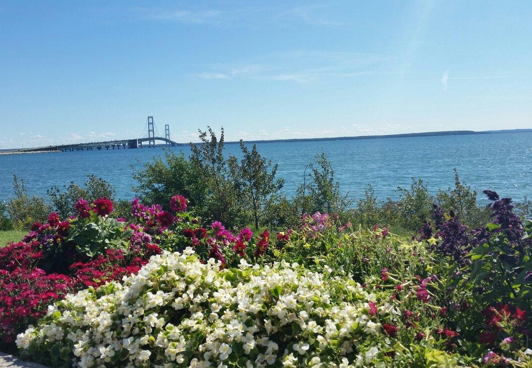 Bridge View Park景点图片
