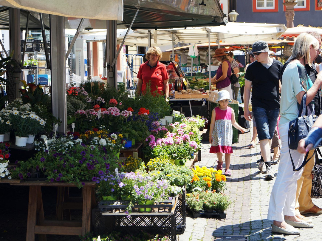 奥芬堡旅游景点-Offenburger Wochenmarkt