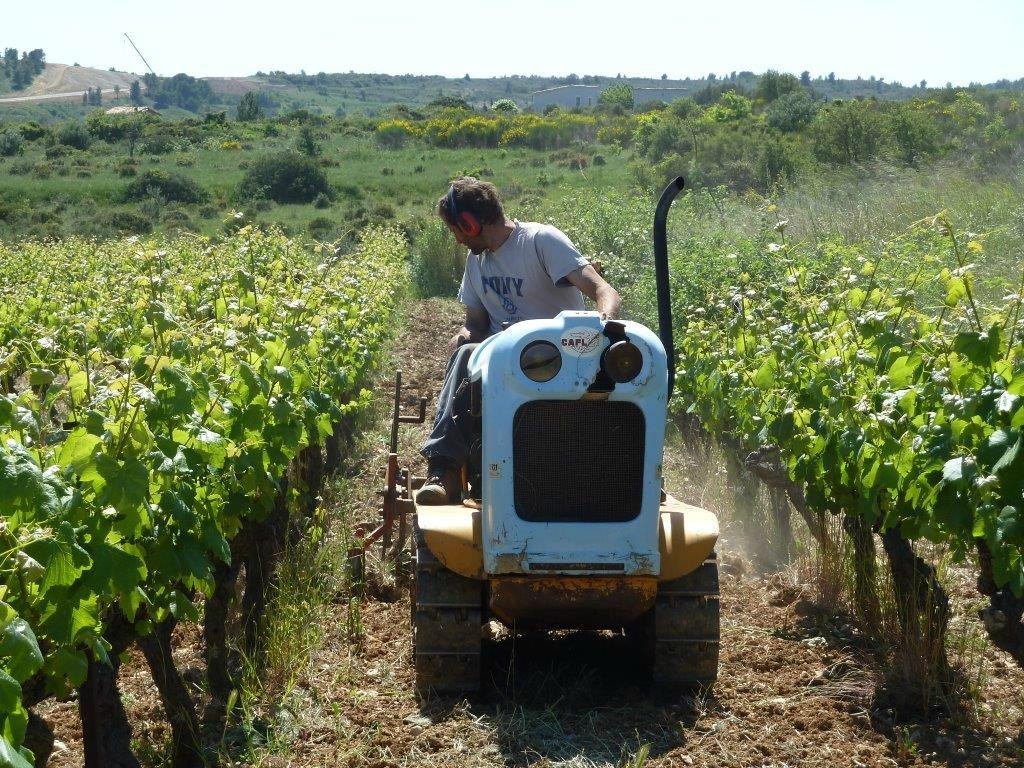 Domaine De Roquemale-Villeveyrac必去景点