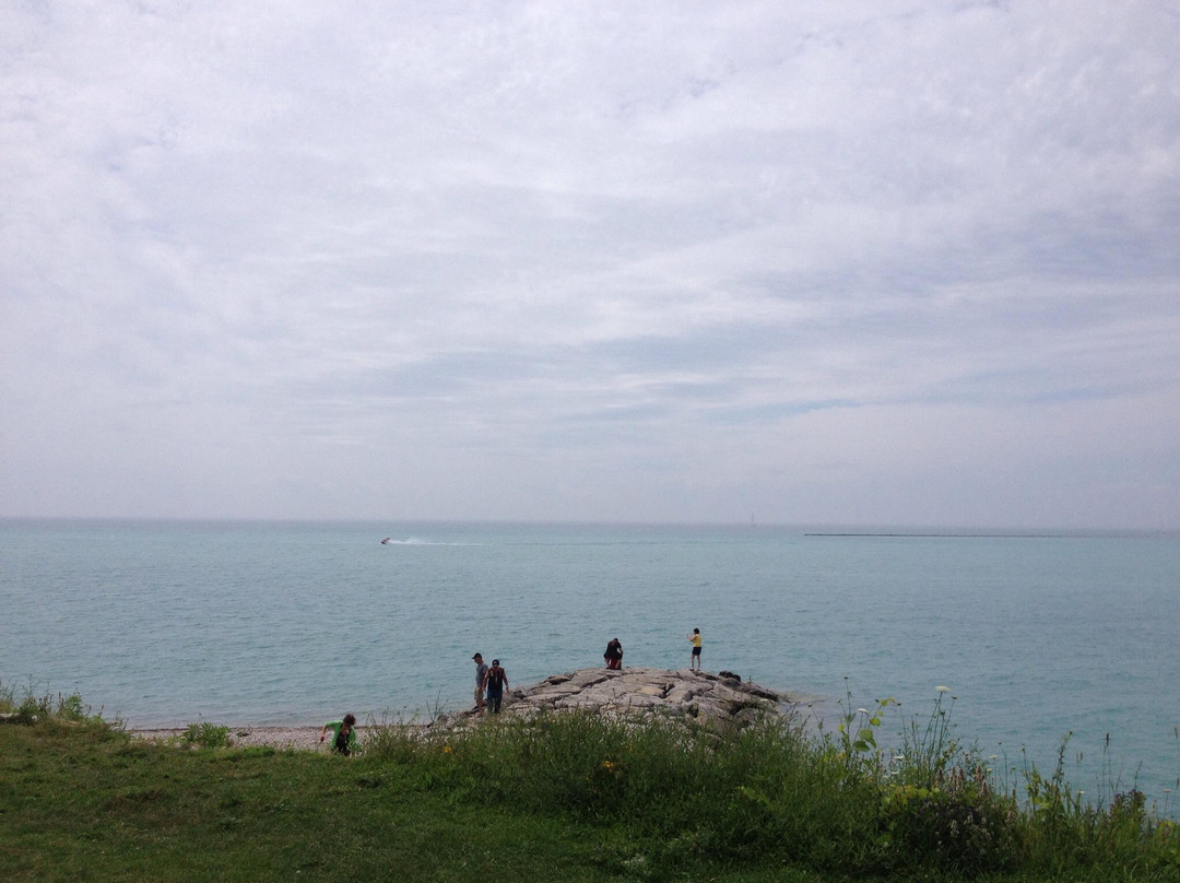 Cove Beach景点图片