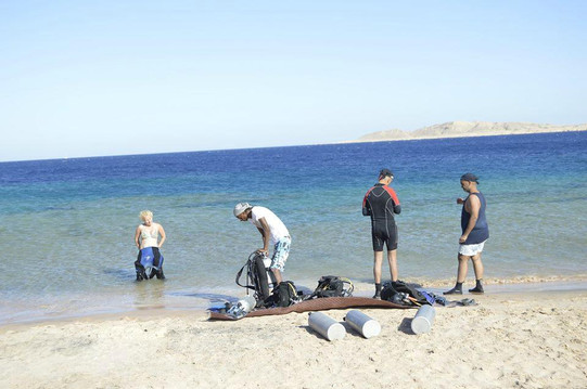 Sinai Scuba Diving Center-沙姆沙伊赫必去景点