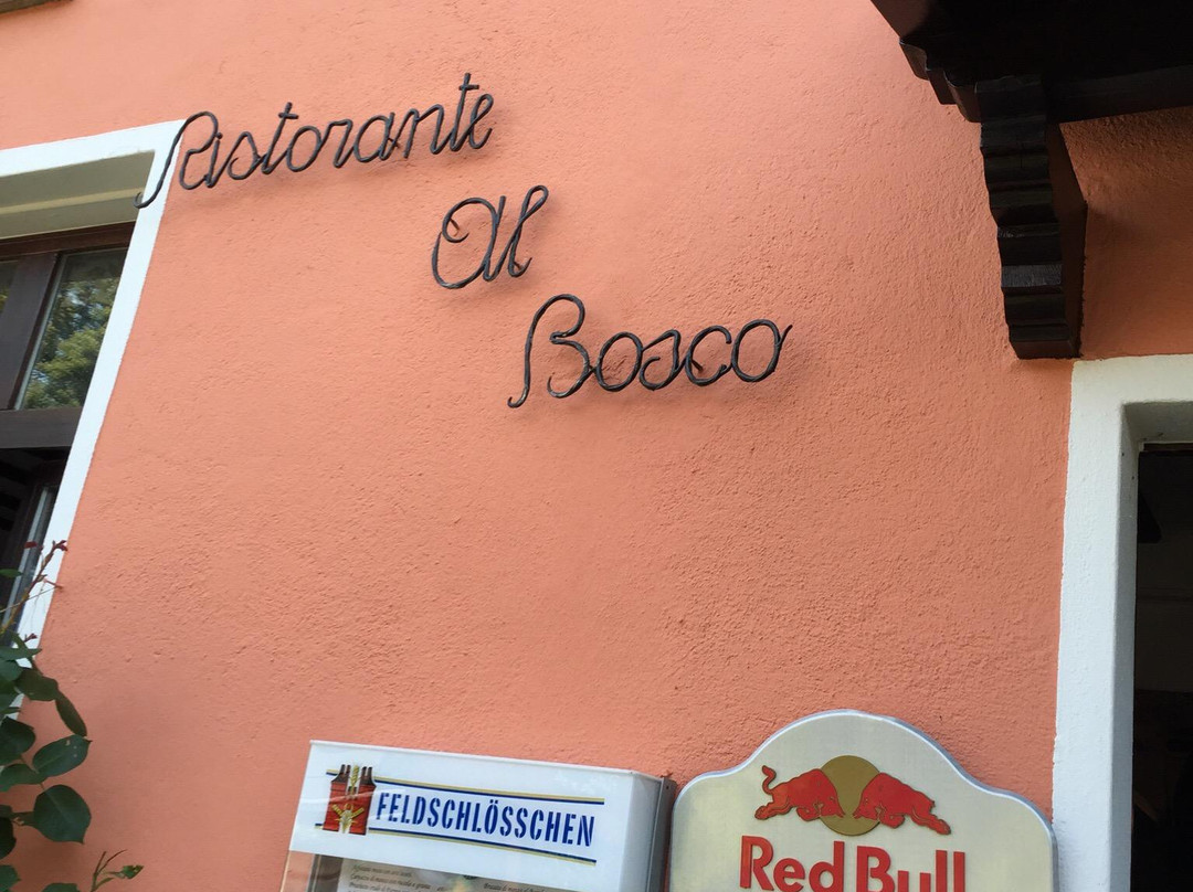 Grotto al Bosco主图