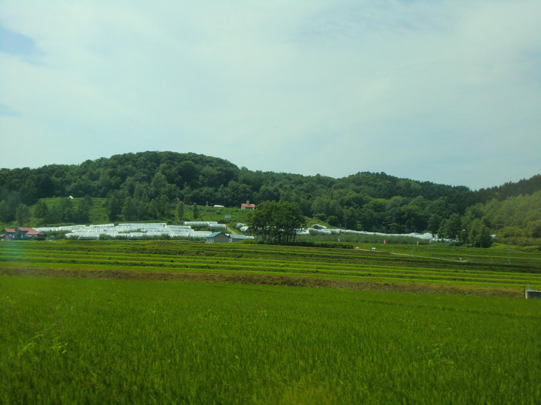 Miharashi Ogihara Fruit Garden-深川市必去景点