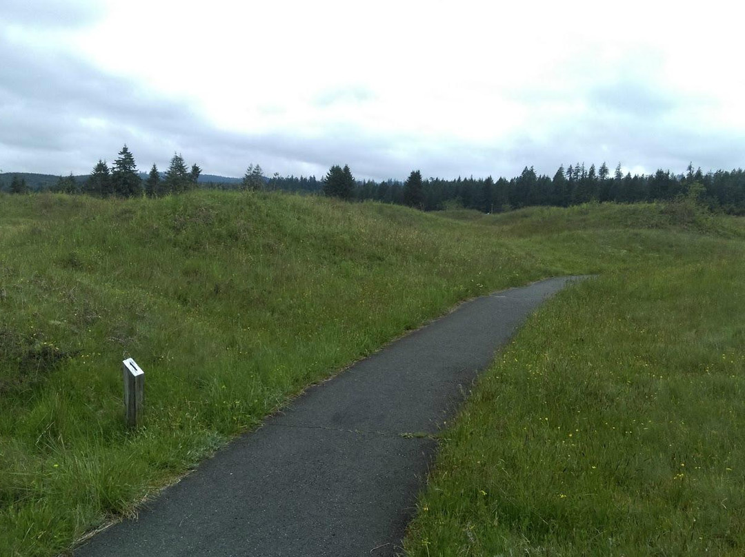 Mima Mounds Natural Area Preserve-奥林匹亚必去景点