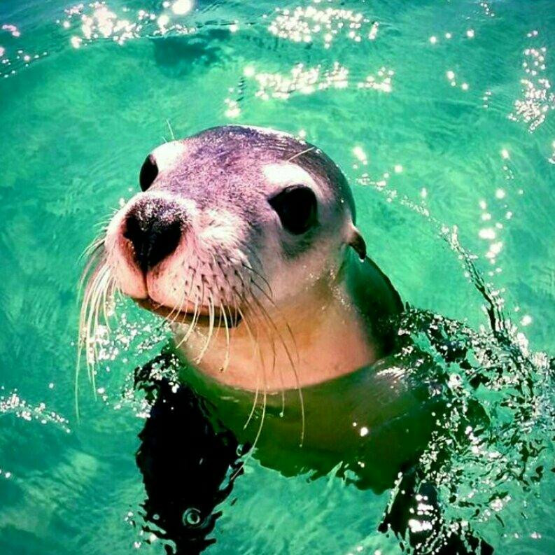 Turquoise Safaris-朱里恩湾必去景点