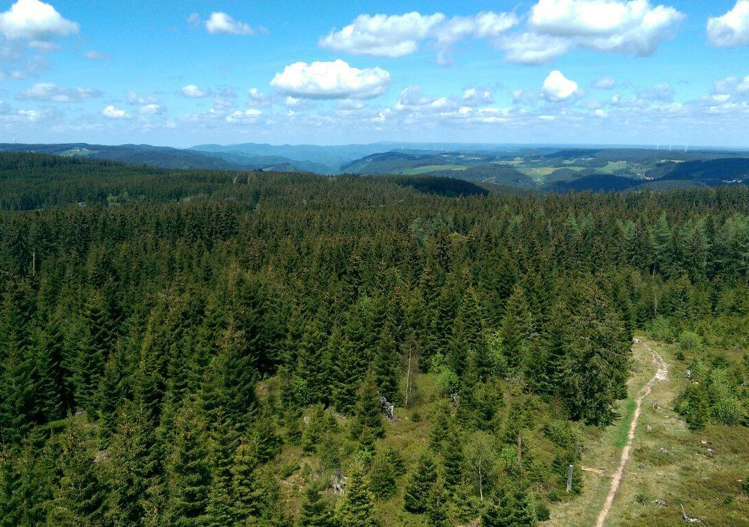 Stoecklewaldturm景点图片