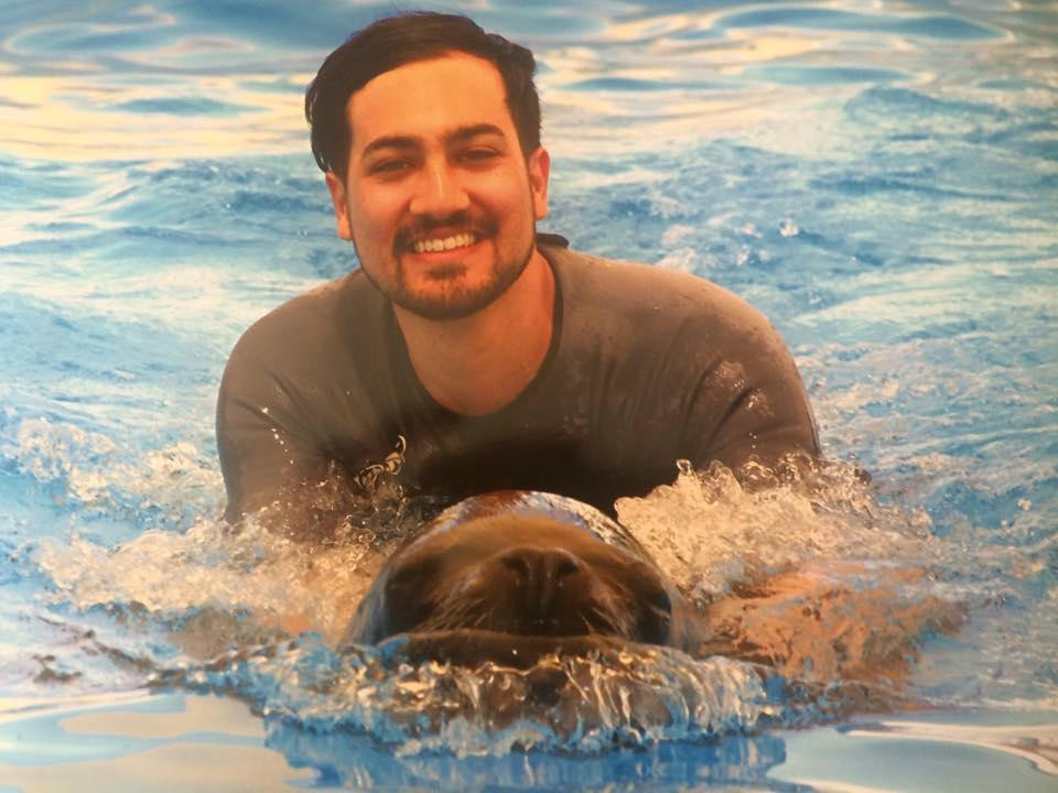 Swim With Sea Lions-夸尔泰拉必去景点