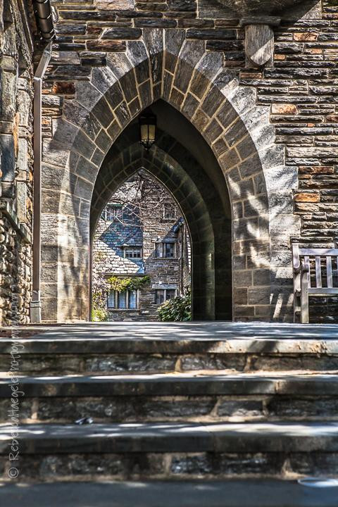 The Scott Arboretum of Swarthmore College景点图片