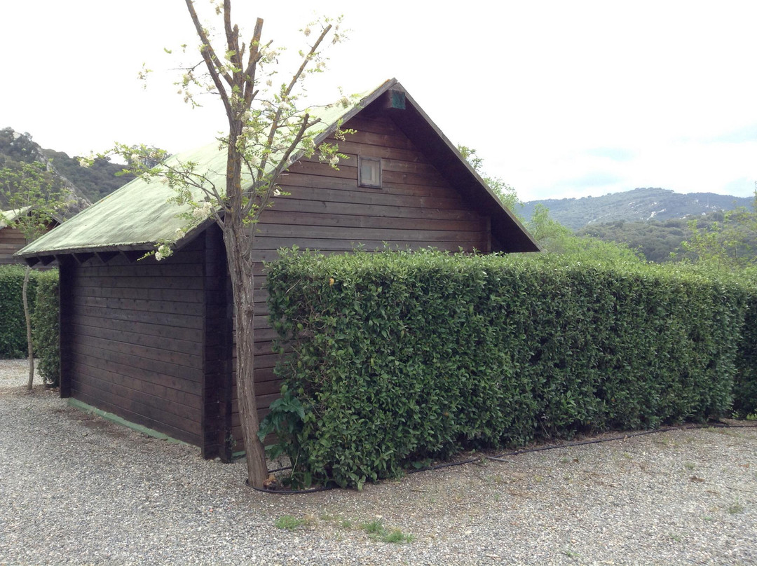 Camping Los Alcornocales