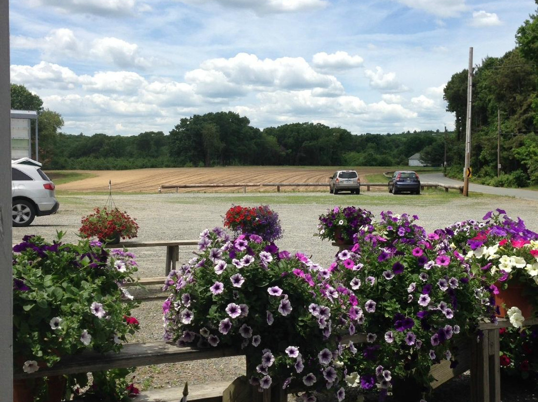 Jaswell’s Farm-Smithfield必去景点