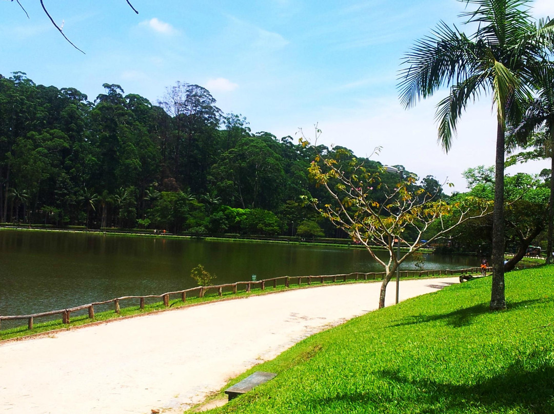 Parque do Carmo-圣保罗必去景点
