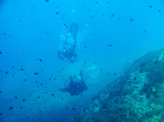 Scuba Diving Black Pearl-耶尔萨必去景点