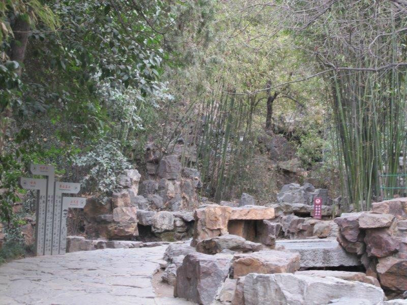 白园-洛阳市必去景点